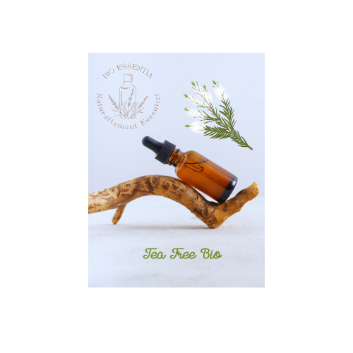 Organic Tea Tree Essential Oil 