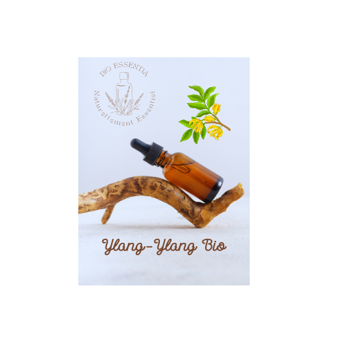 Organic Ylang-Ylang Essential Oil 