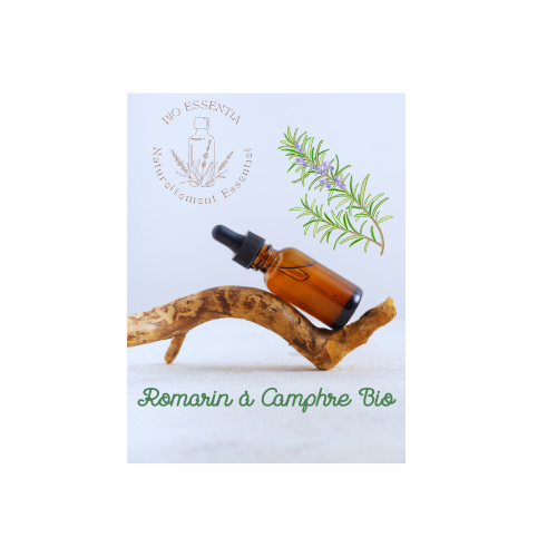 Organic Rosemary ct camphor Essential Oil 