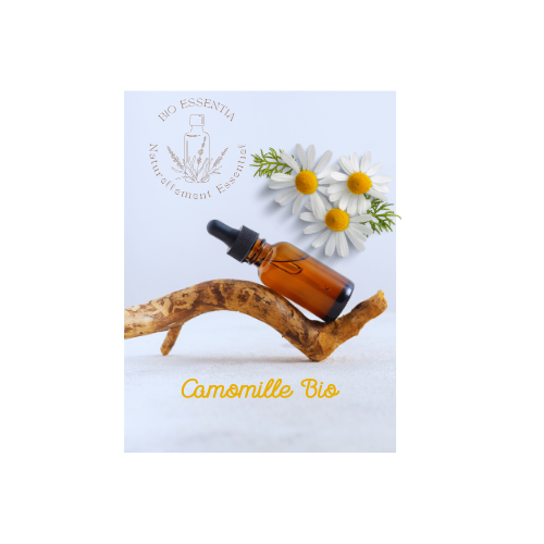 Organic Chamomile Hydrosol 100 ml    