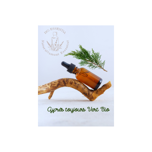 Organic Cypress Evergreen Essential Oil