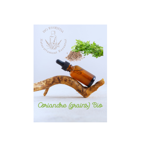 Organic Coriander Seed Essential Oil   